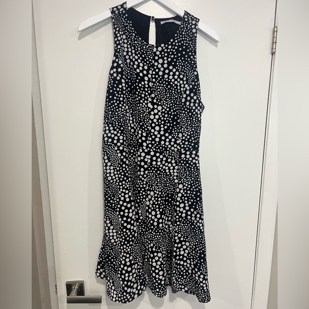 Coco & Tashi Polka Dot Dress - NEW